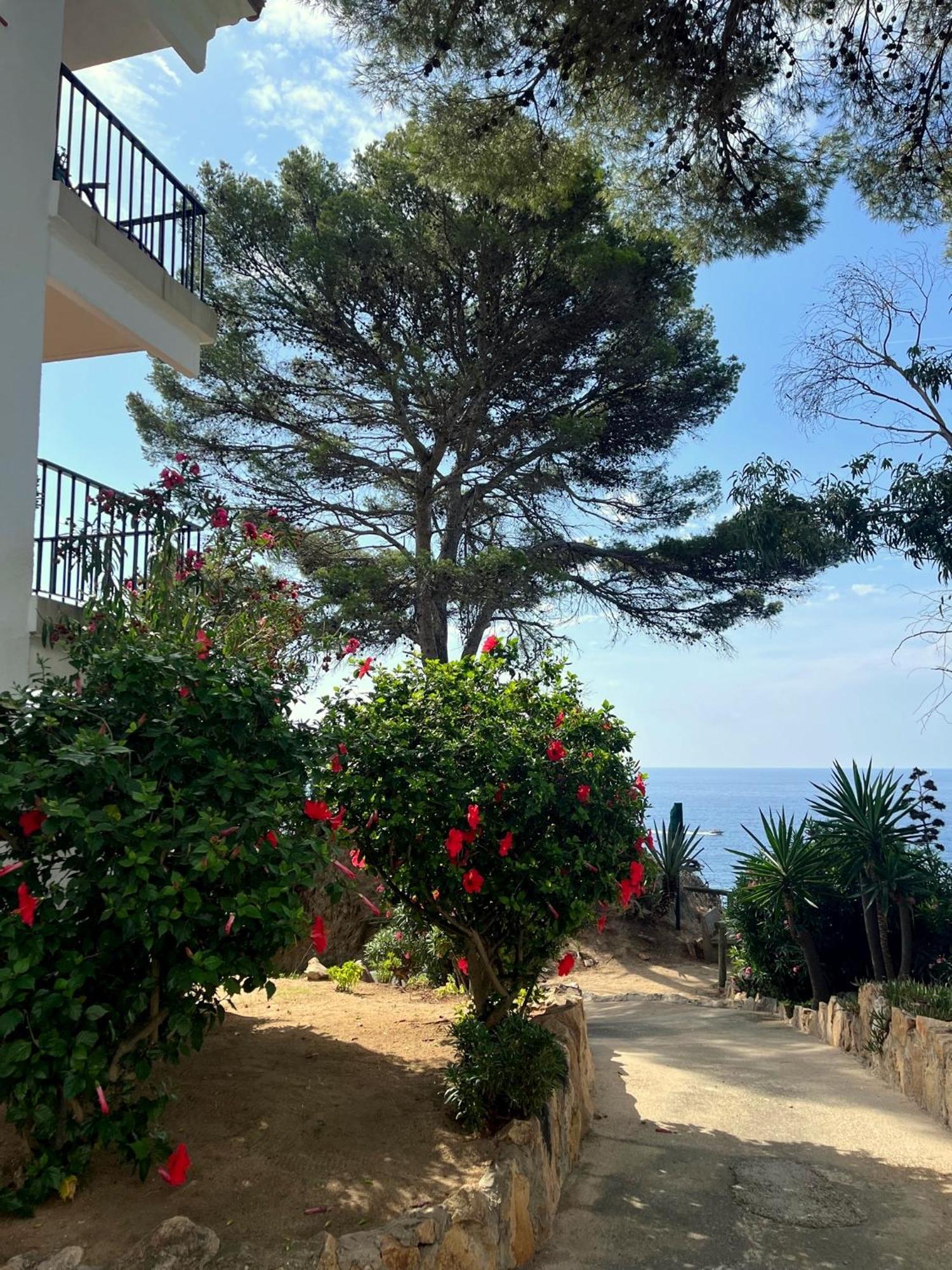 Les Terrasses De Cala Llevado Apartamento