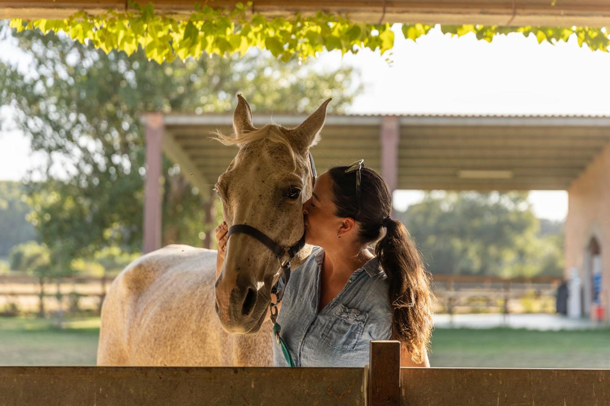Apartment Cal Robusto, In Masia With Horses