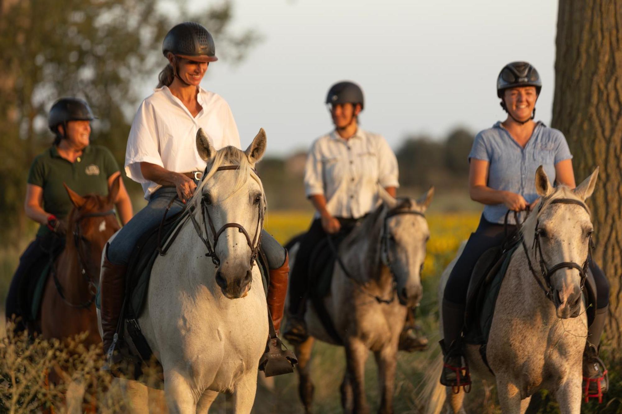 Apartment Cal Robusto, In Masia With Horses *
