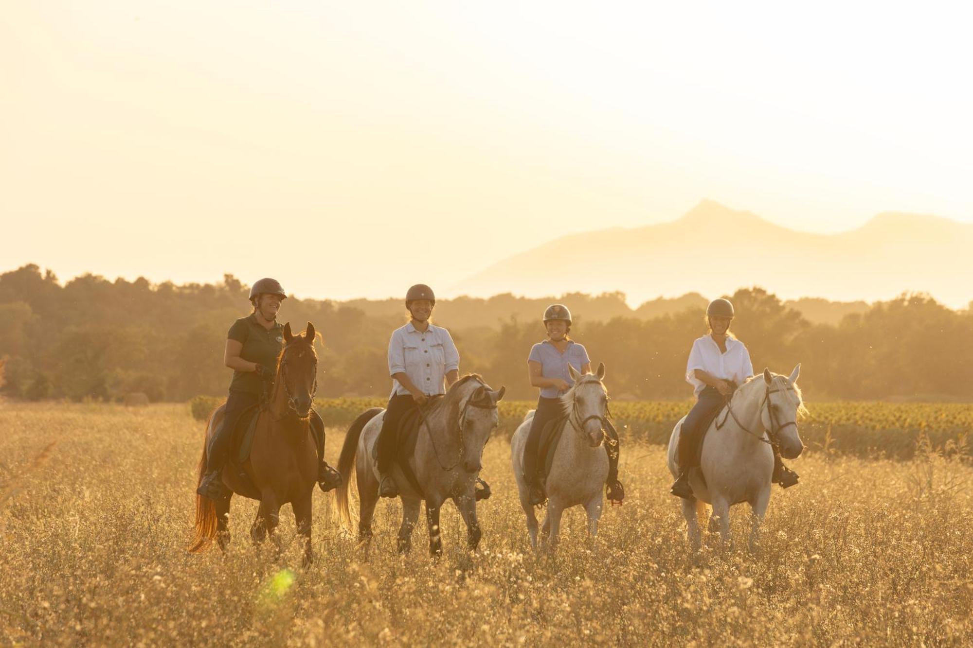 Apartment Cal Robusto, In Masia With Horses *