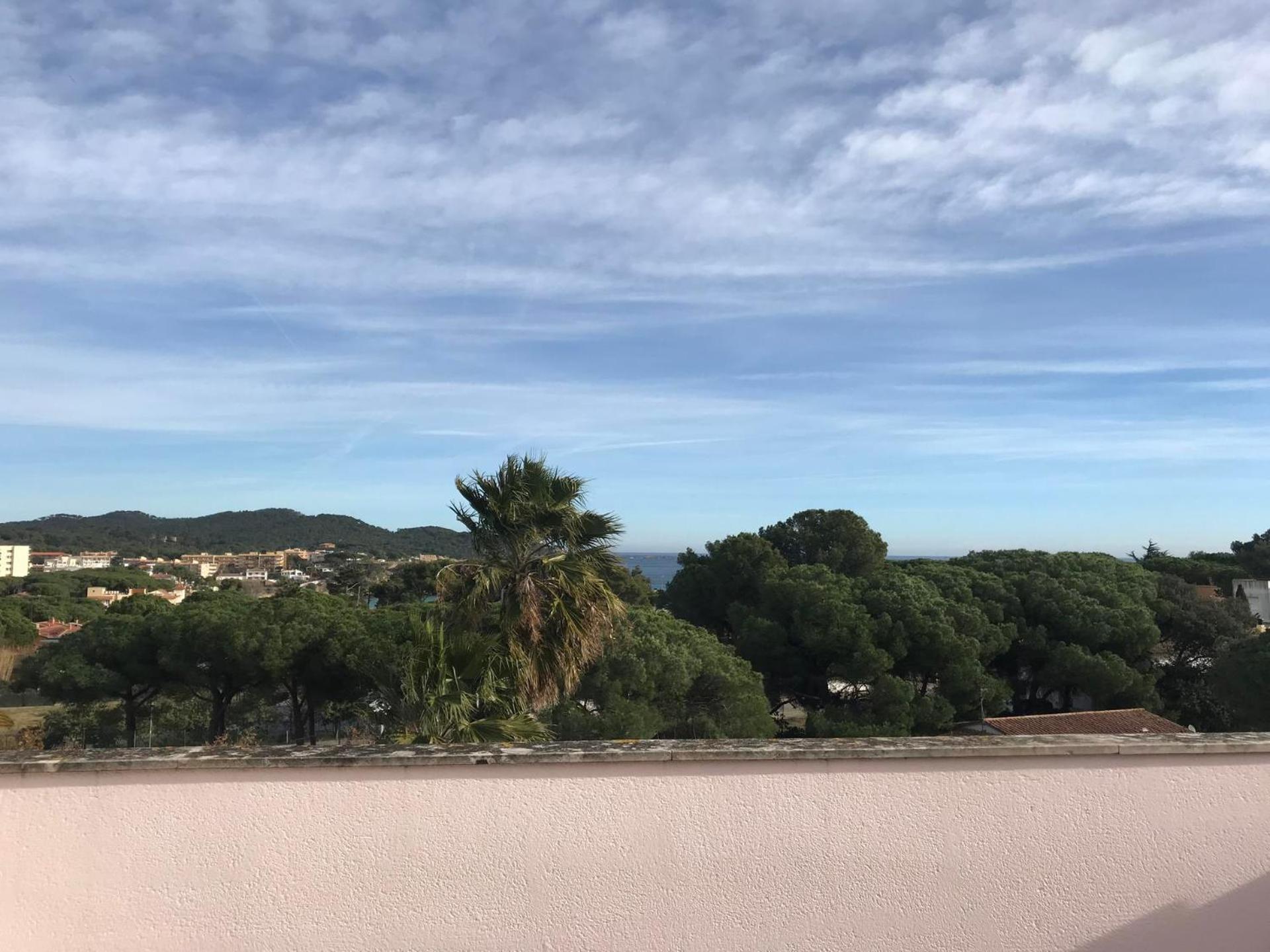 Apartment Les Camelias 2b