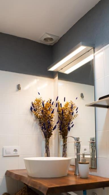 Apartment Seahomes Vacations - Centric 100m And Pkg Tossa de Mar