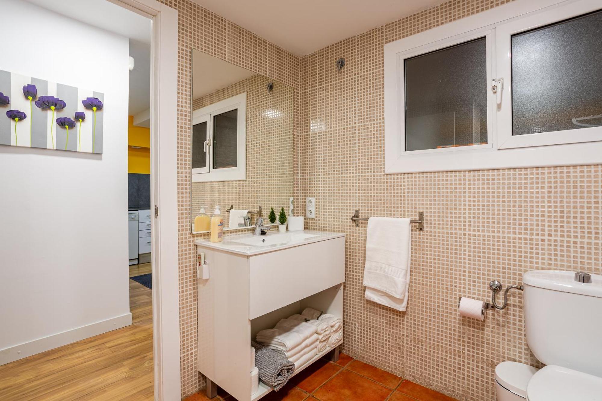 Apartamento Orange Loft, Posibilidad De Parking Gerona