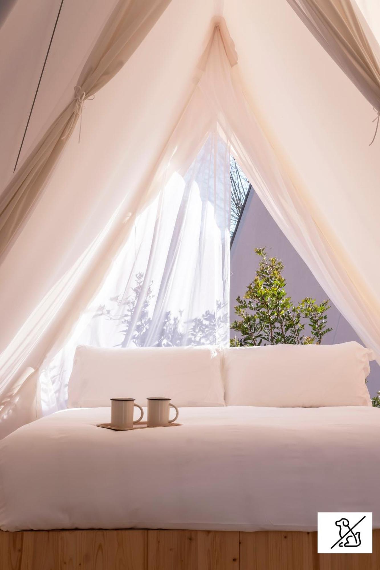 Campsite Wecamp Cala Montgo 2*
