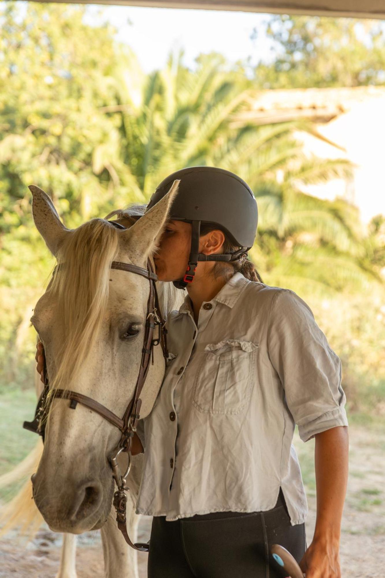 Cal Robusto, In Masia With Horses Apartment *