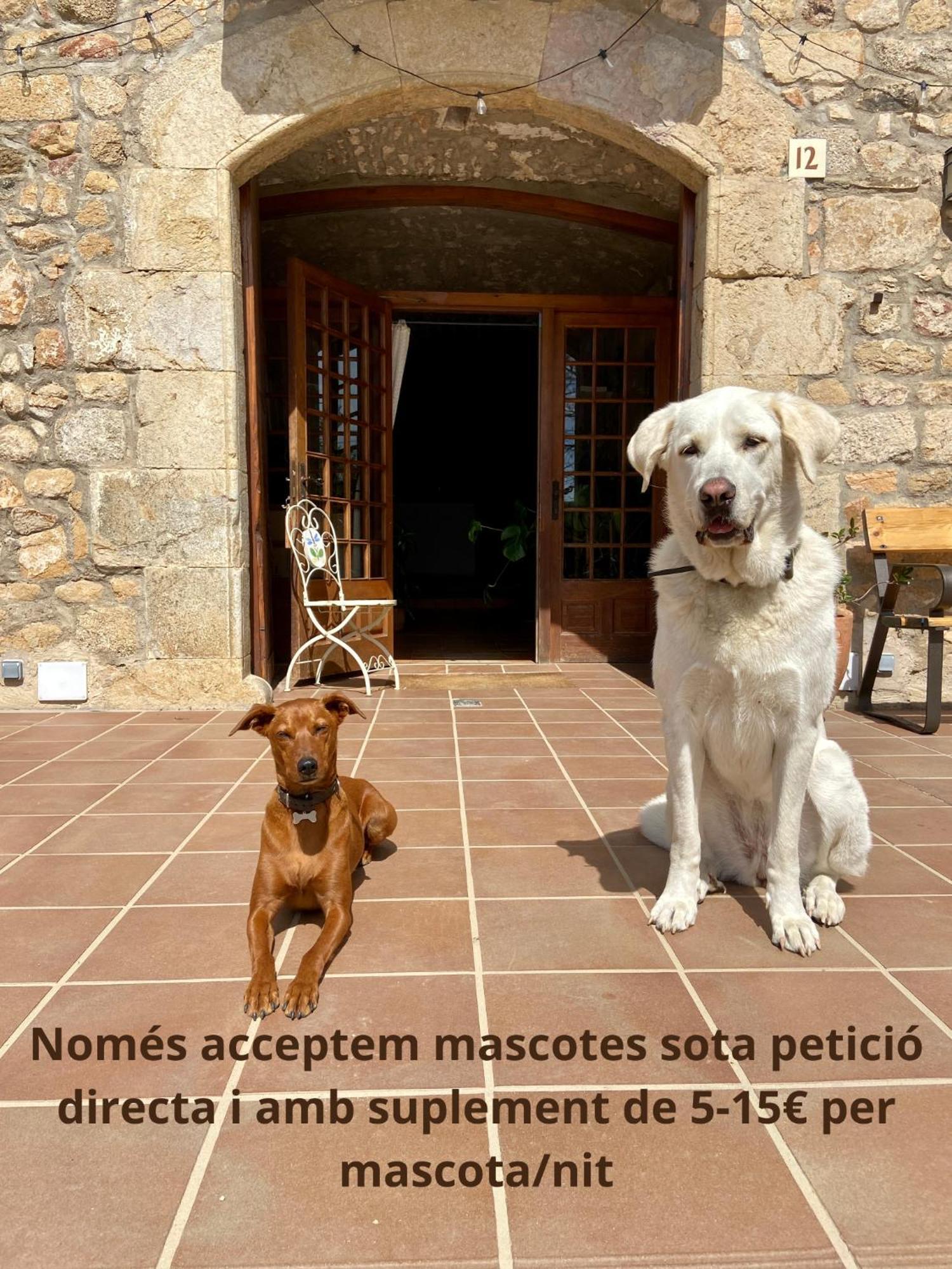 Ecoturisme Mas Ribas *