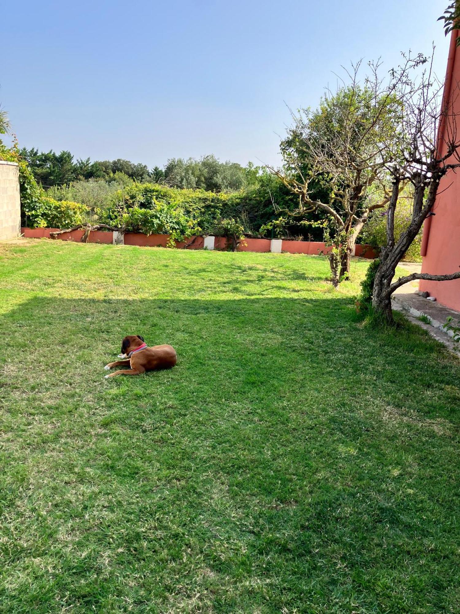 Descanso Del Guerrero * San Miguel de Fluvia