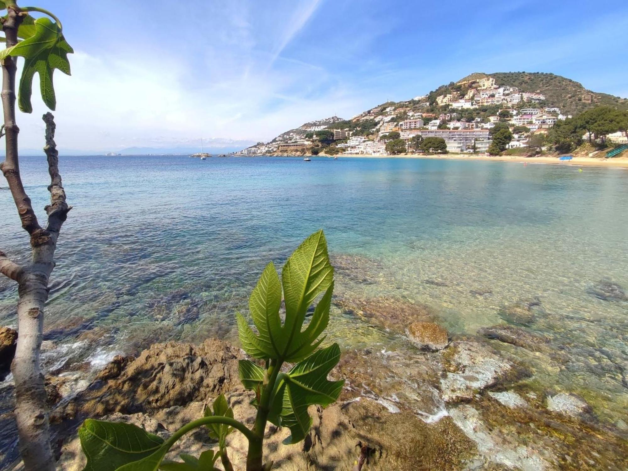 Apartamento Beautiful With View *