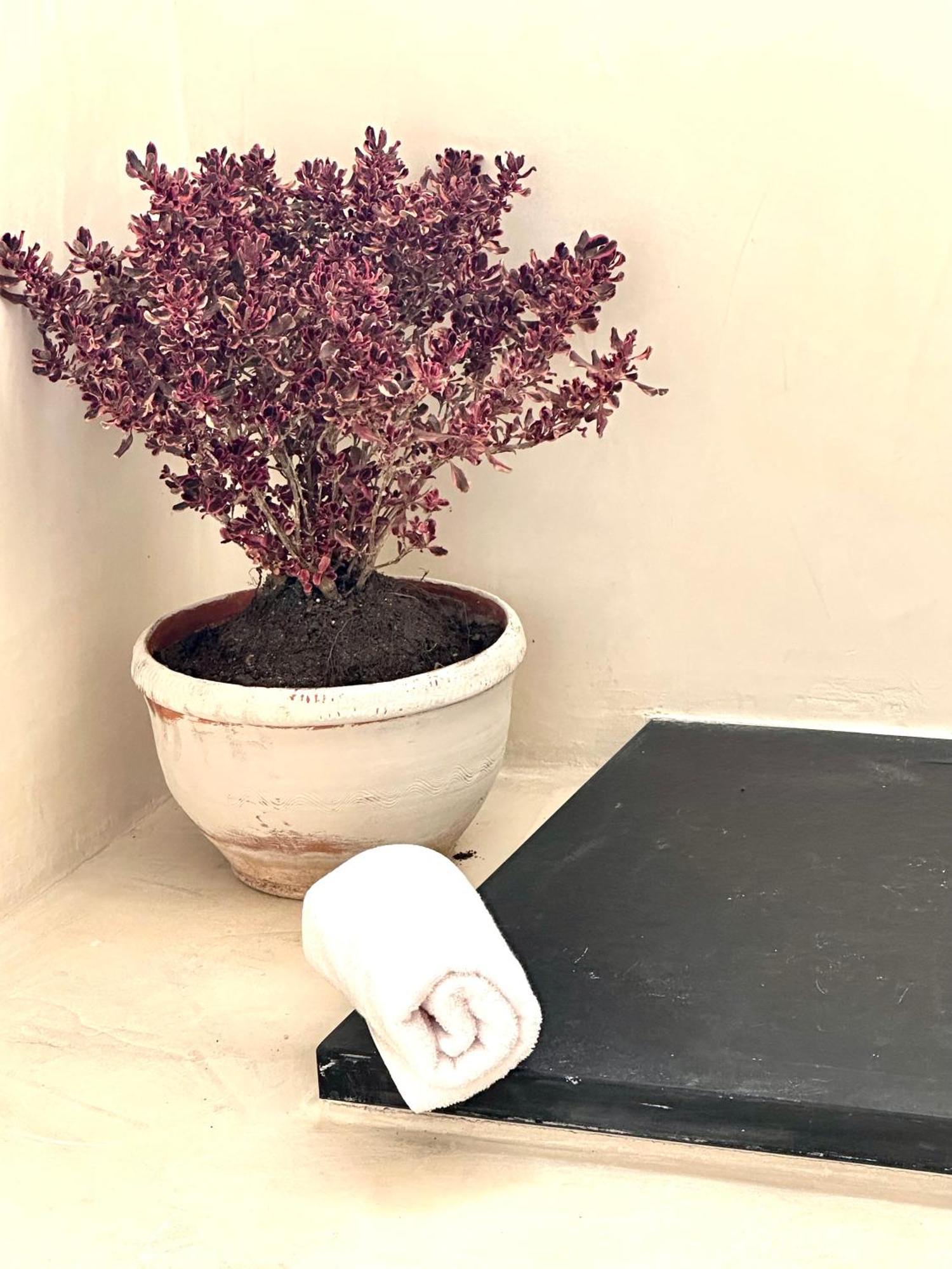 Bed and breakfast C'anne Marie Palafrugell