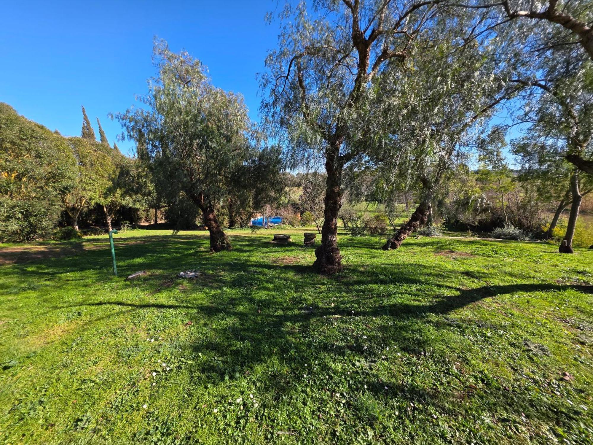 Holiday home En El Emporda Cruilles