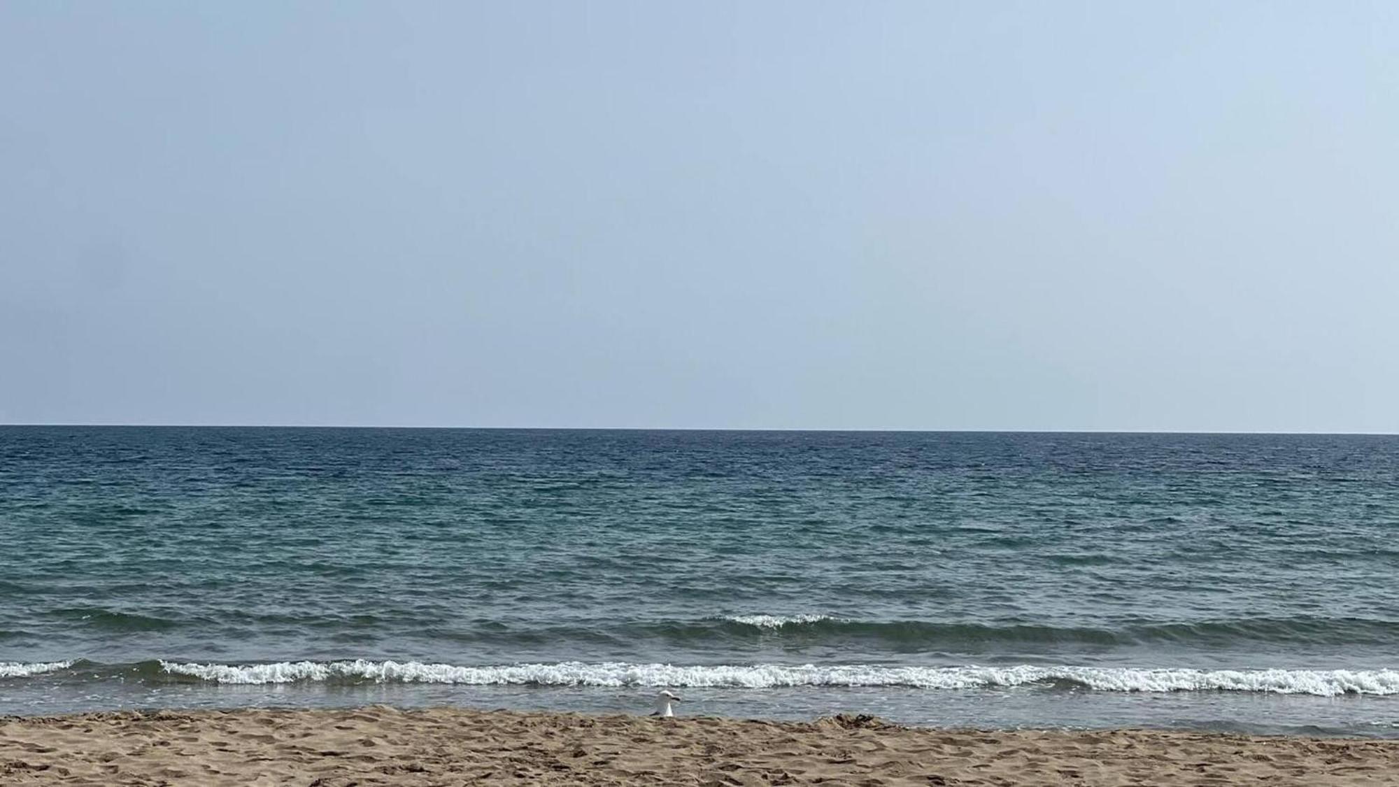 Precioso En Con Parking Cerca De Playa Apartamento Rosas