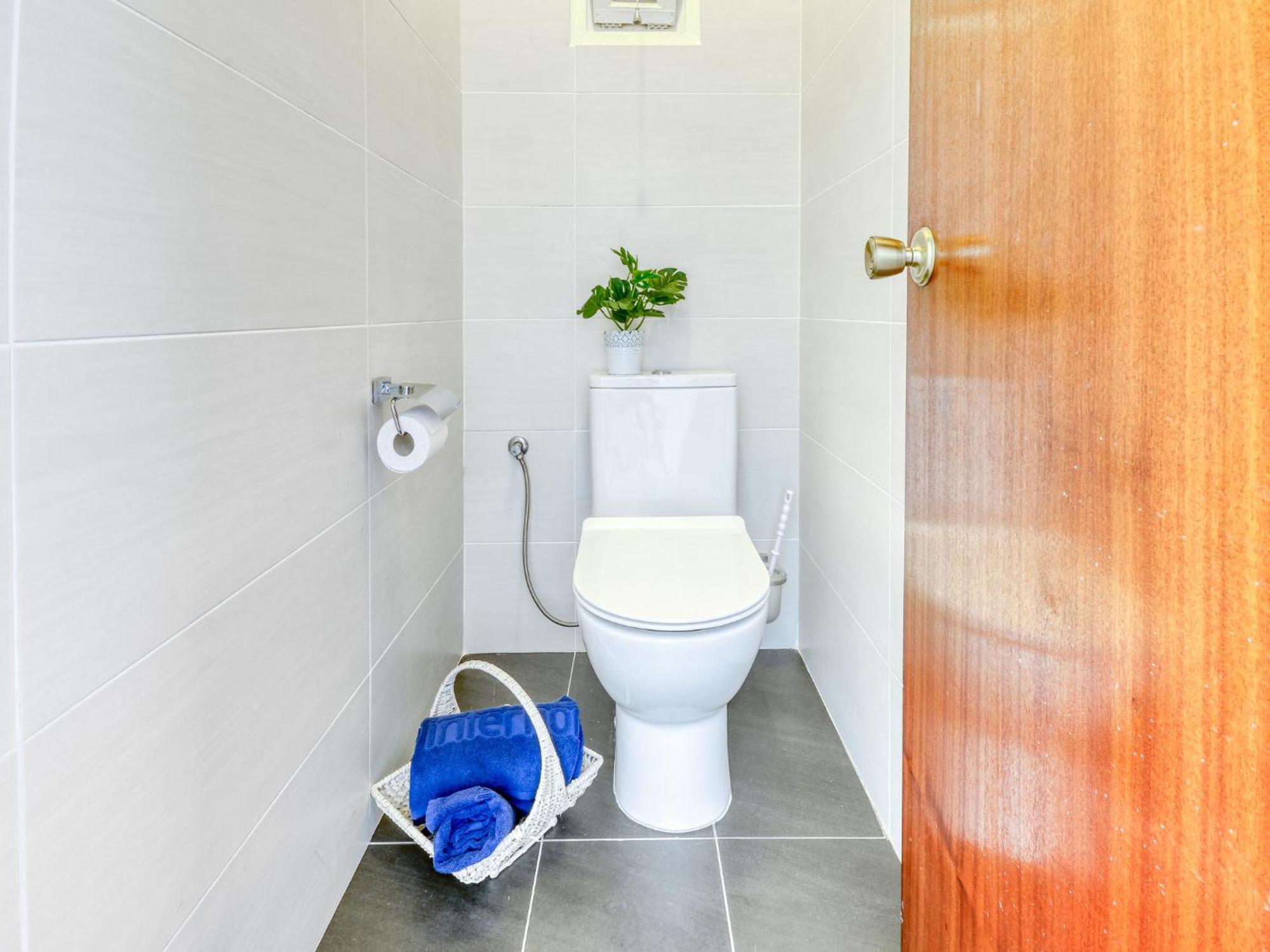 Belleza By Interhome Roses