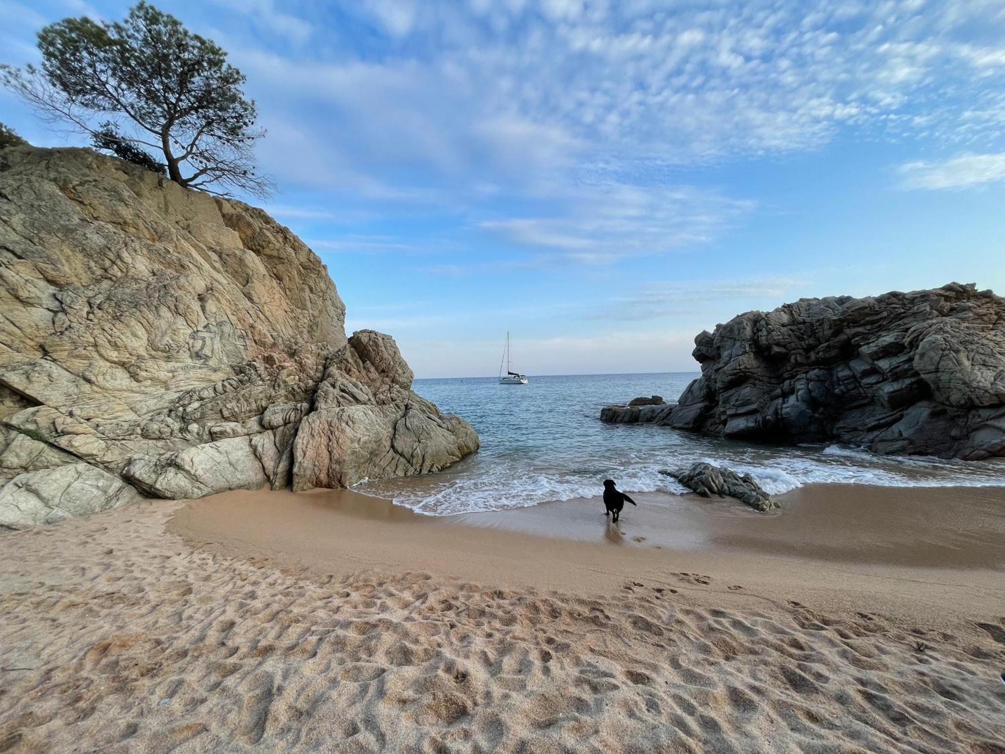 Apartamento Pinzon, Gezellige Familievilla Met Groot Zwembad. Lloret de Mar