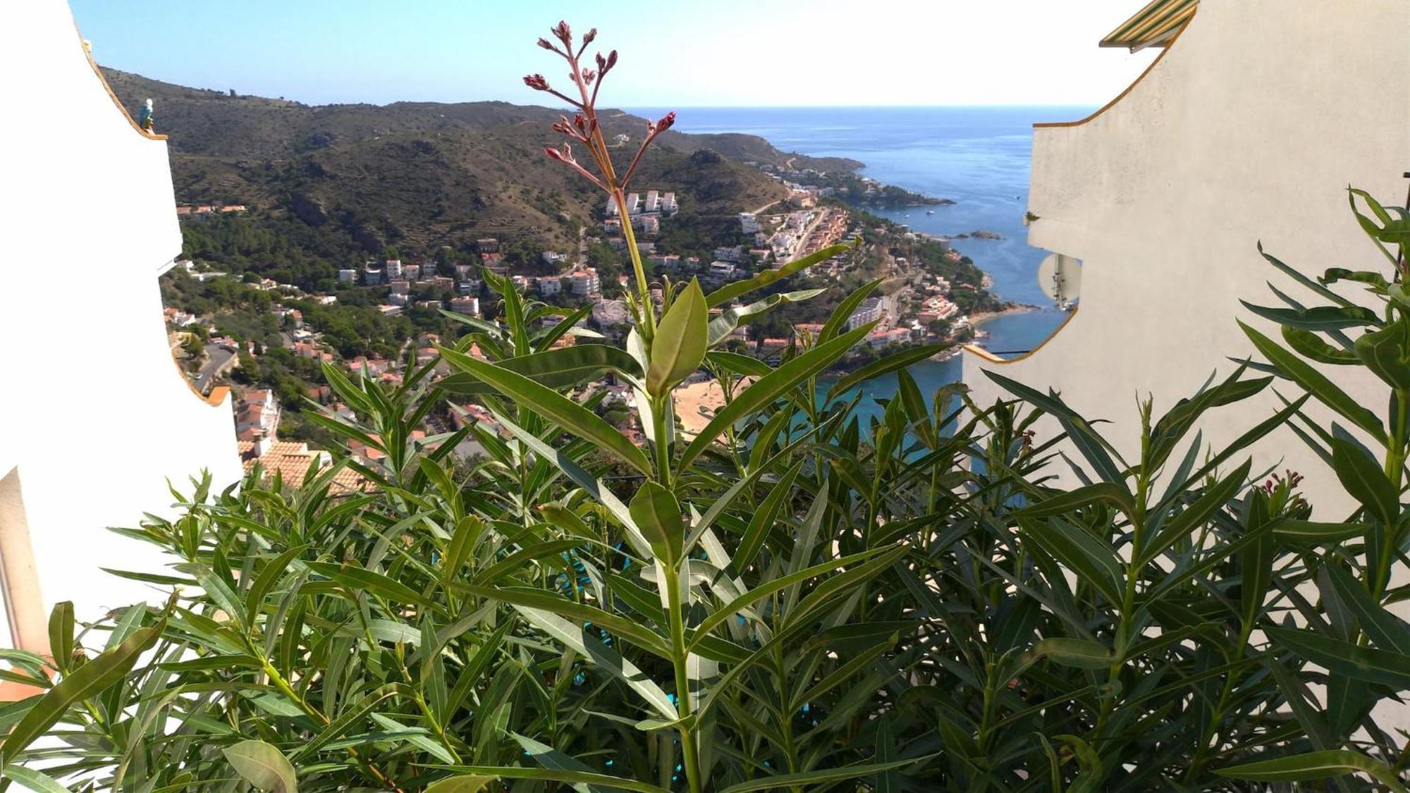 Impresionantes Vistas Del Mar En Roses, Canyelles *