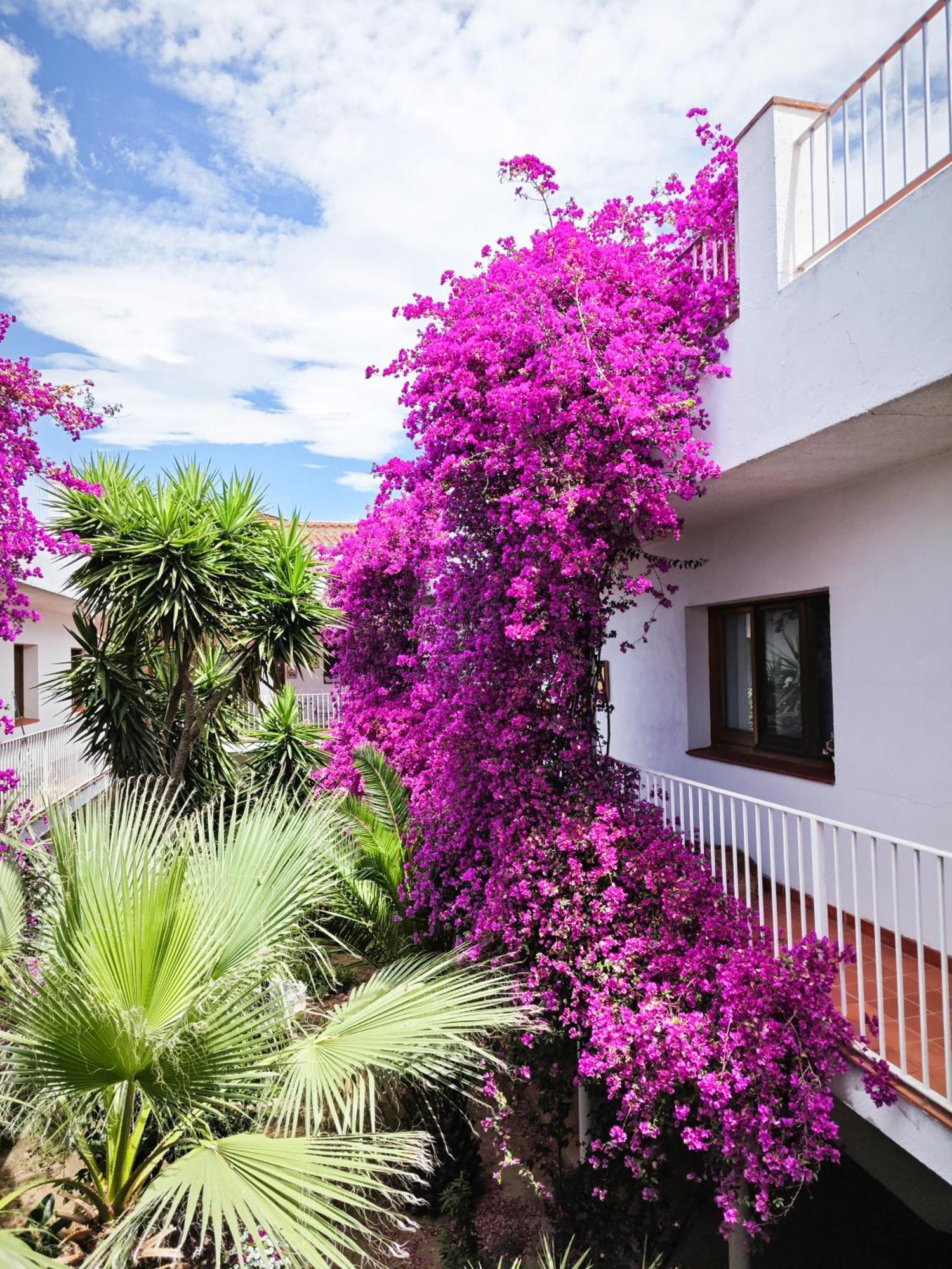 Apartamento El Penell Llevant Vilamaniscle