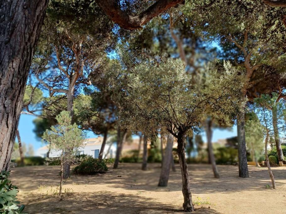 Apartment Roc Mar Llafranc