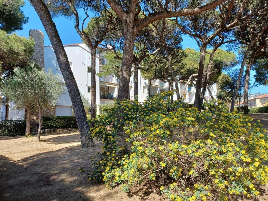 Apartment Roc Mar Llafranc