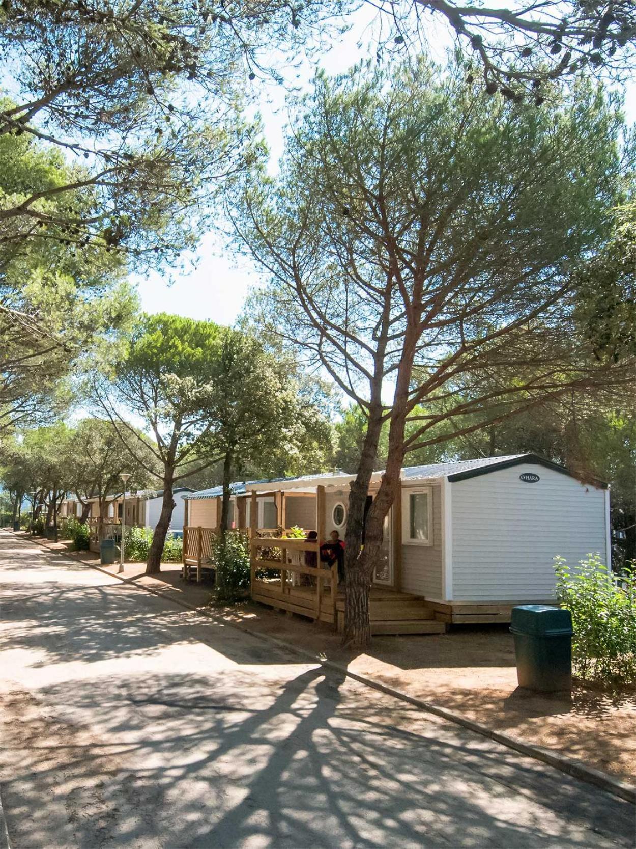 Santa Elena * Lloret de Mar