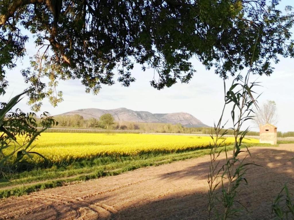 Campo de lujo Acampale - Glamping Baix Emporda Ultramort