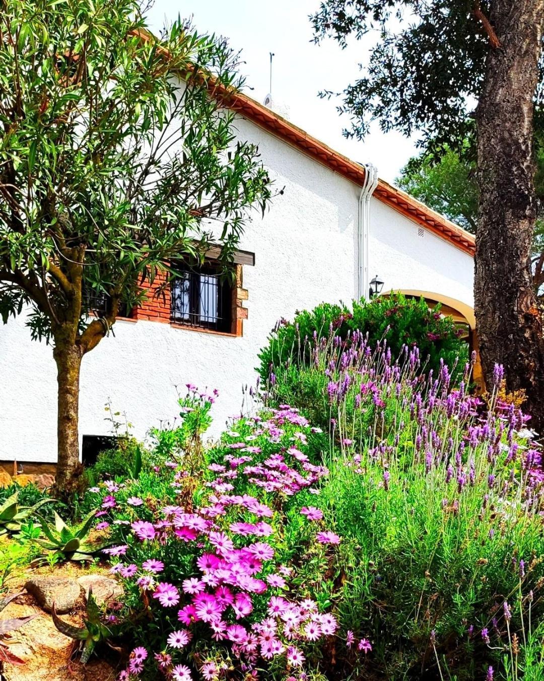 Boheme Costa Brava Villa