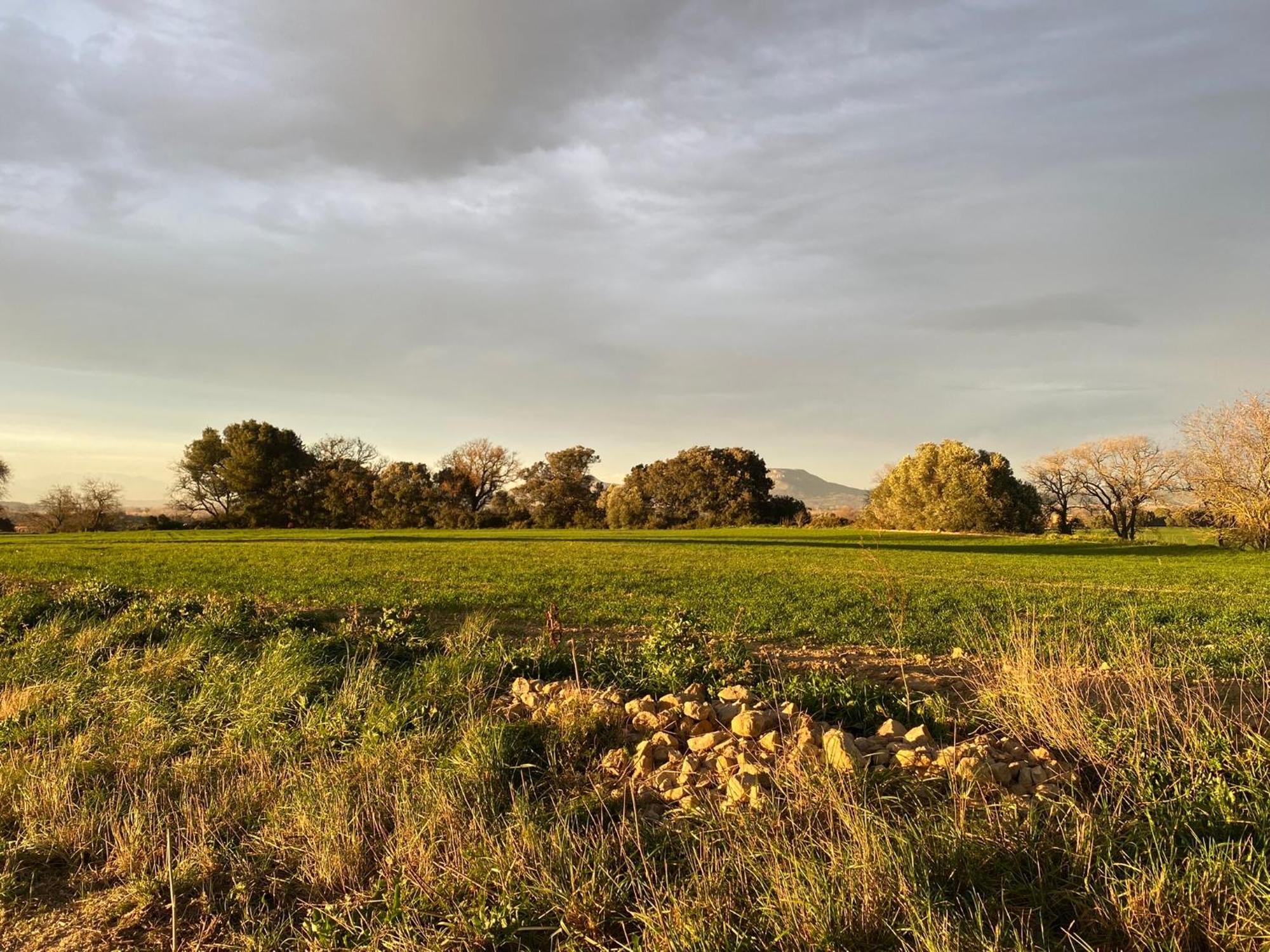 Moderno En Emporda Golf