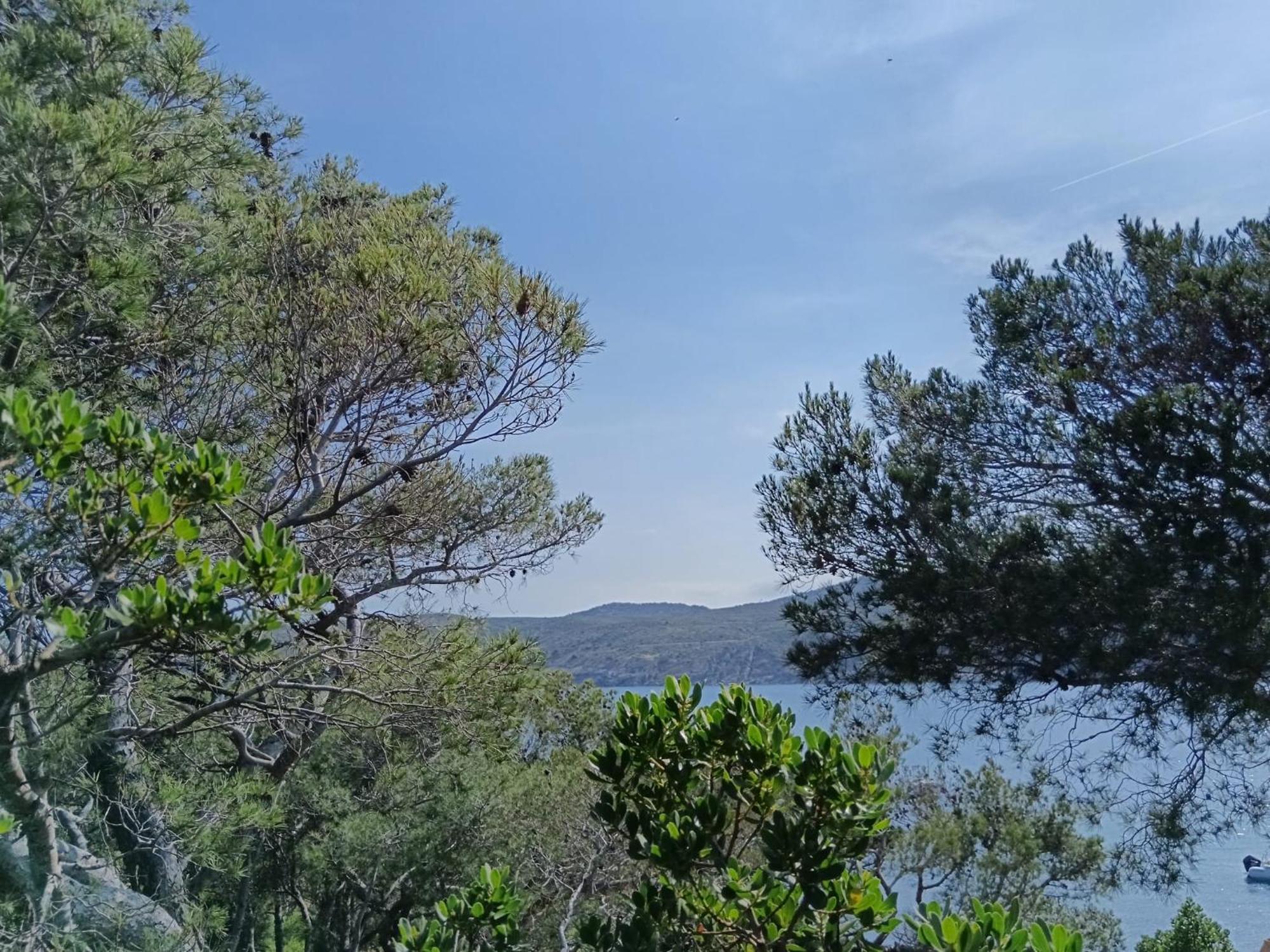 Isla Privada En De Ensueno Con 11 Dobles Con Bano Privado Y Piscina Villa Cadaques
