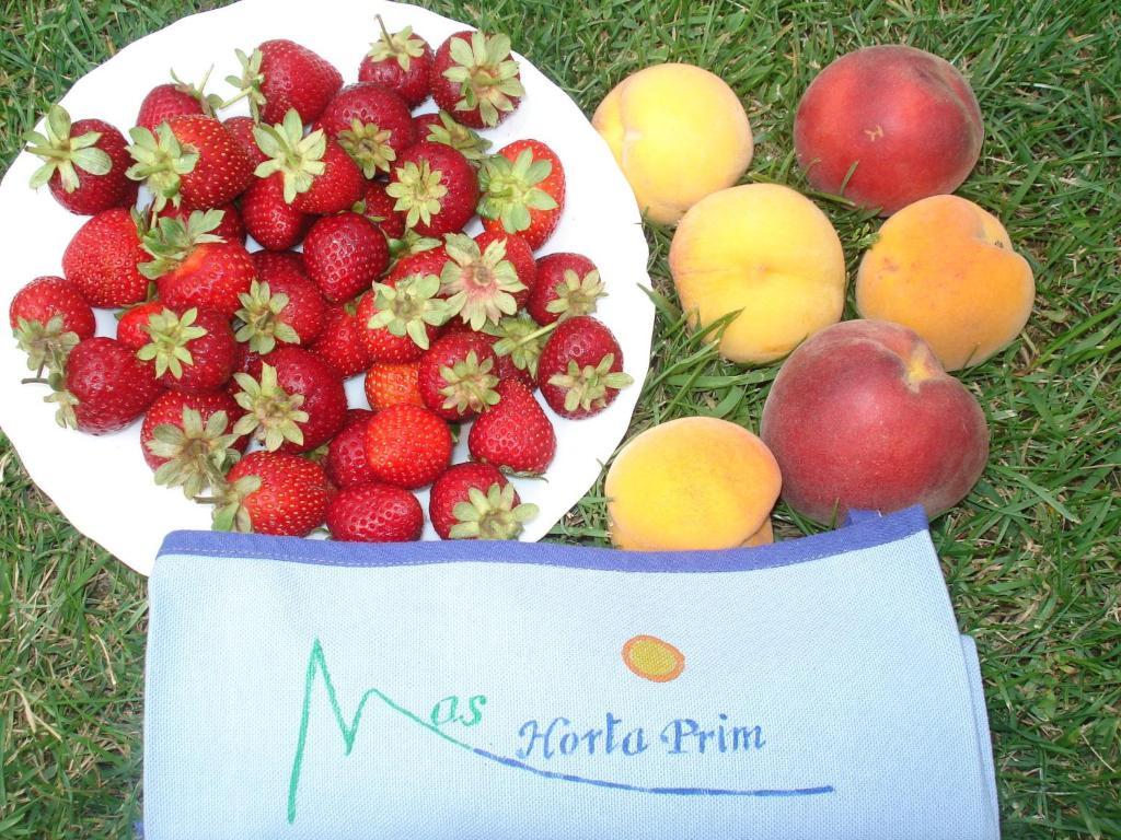 Mas Horta Prim Country house Sant Pere Pescador