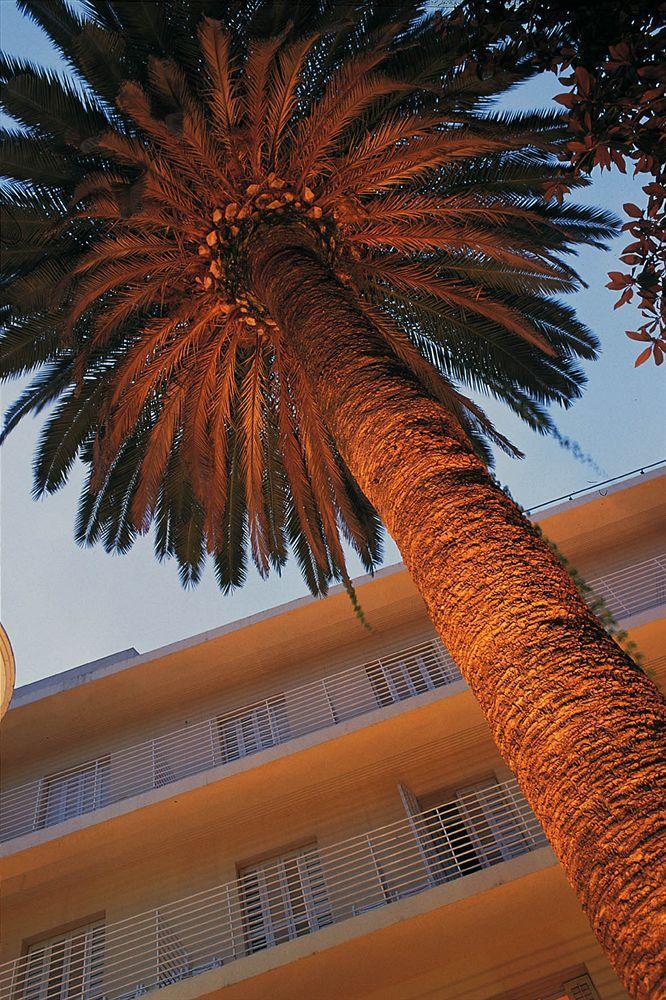 La Palmera&spa Hotel 4*
