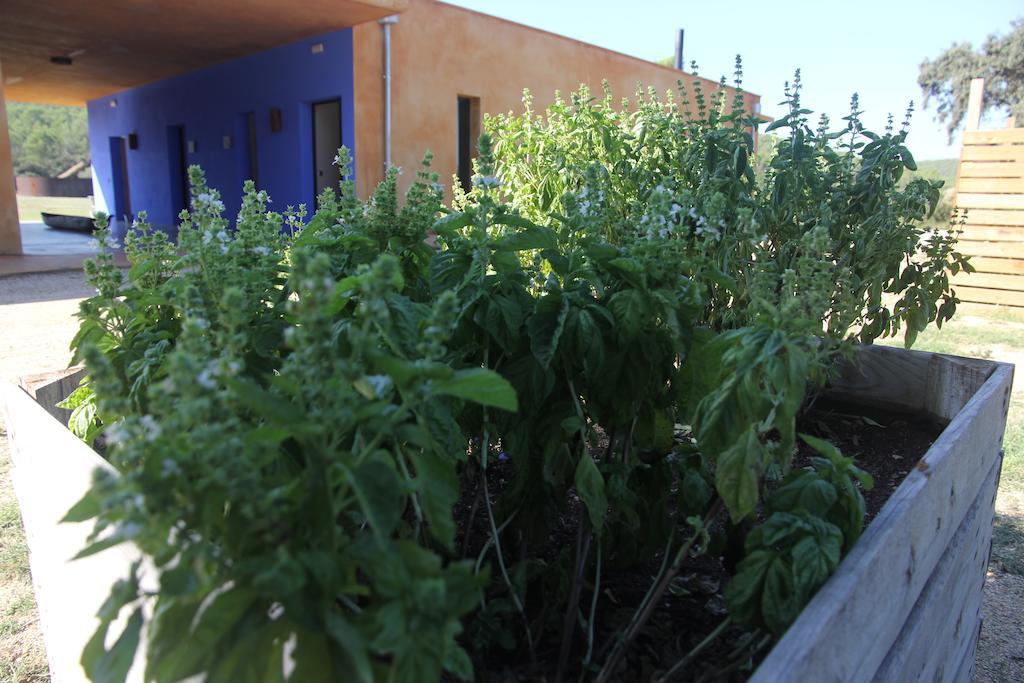 Bed and breakfast Fundació L'olivar