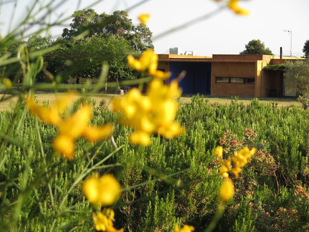 Bed and breakfast Fundació L'olivar *