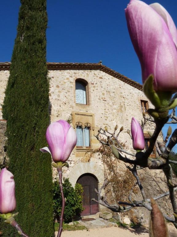 Bed and breakfast Mas Vilosa