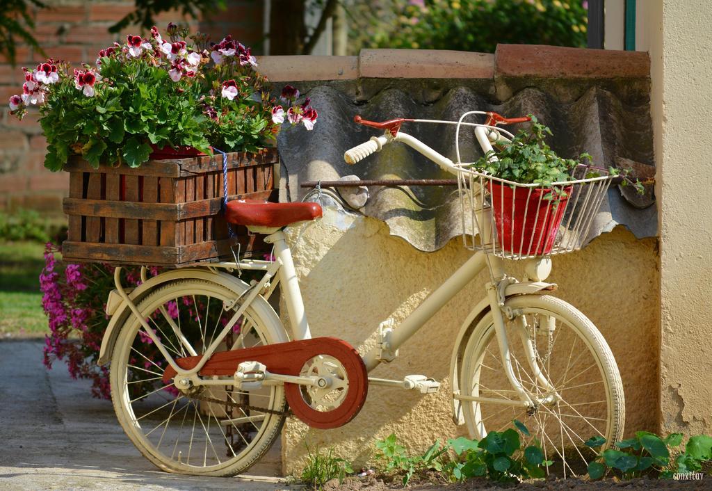 Country house Mas Horta Prim