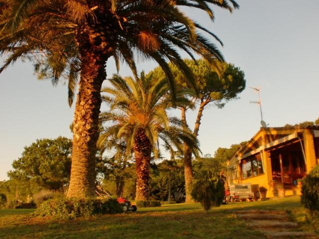 Bed & Breakfast Puig Gros *