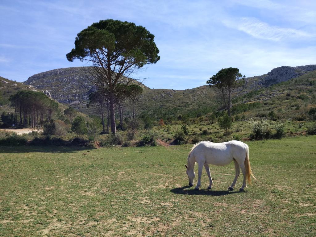 Apartamento Lliris Atico L'Estartit