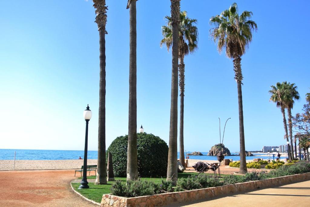 Aiguaneu Apartaments Center Blanes