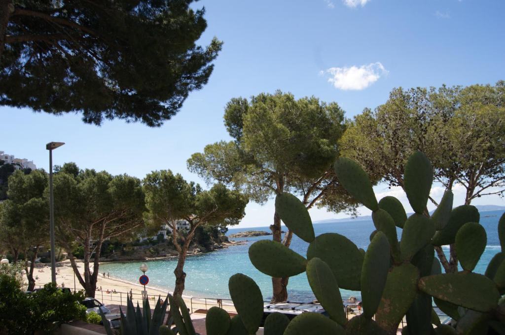 Apartamento Agi Marina Rosas