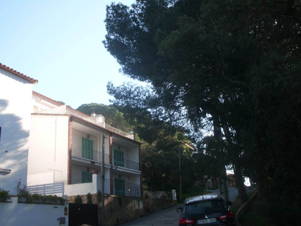 Apartament Cat Llafranc