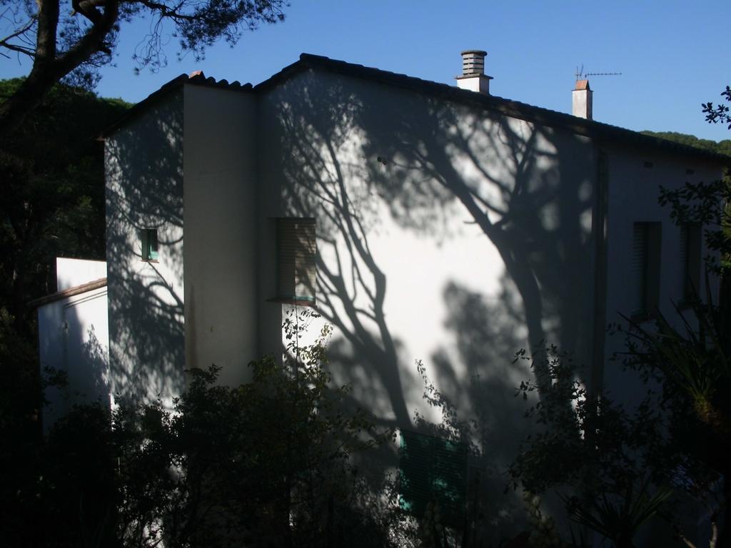 Apartament Cat Apartamento