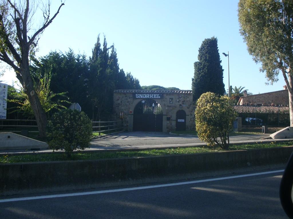 Apartament Cat *