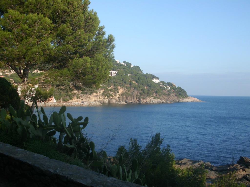 Apartament Cat Llafranc