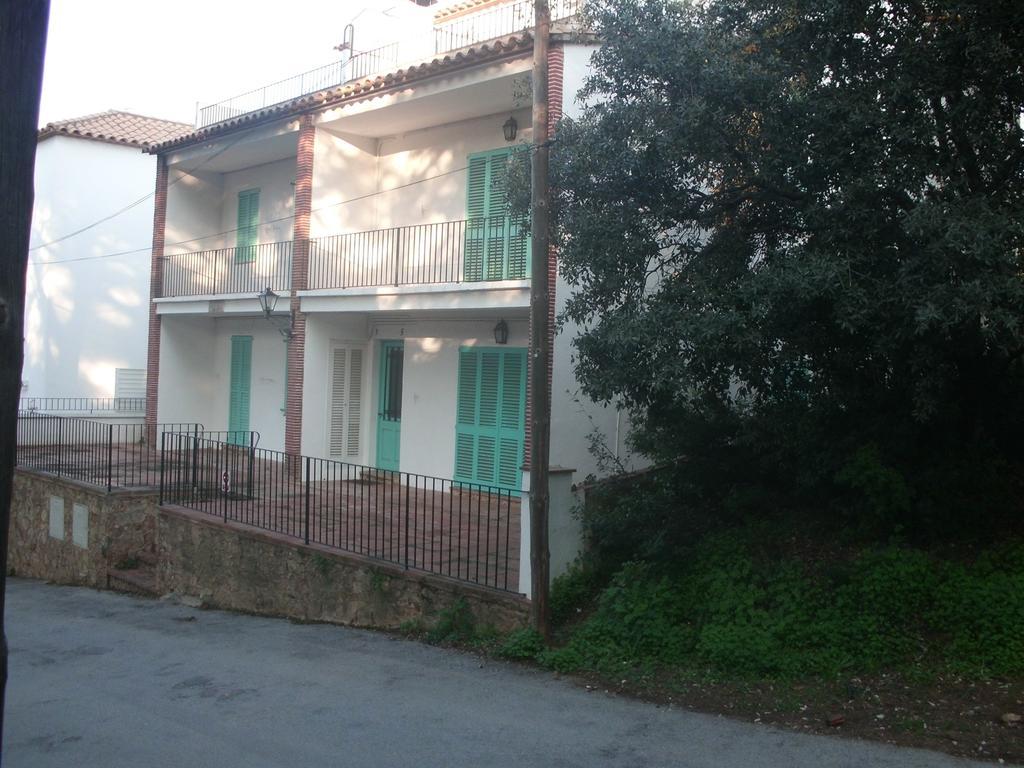 Apartament Cat *