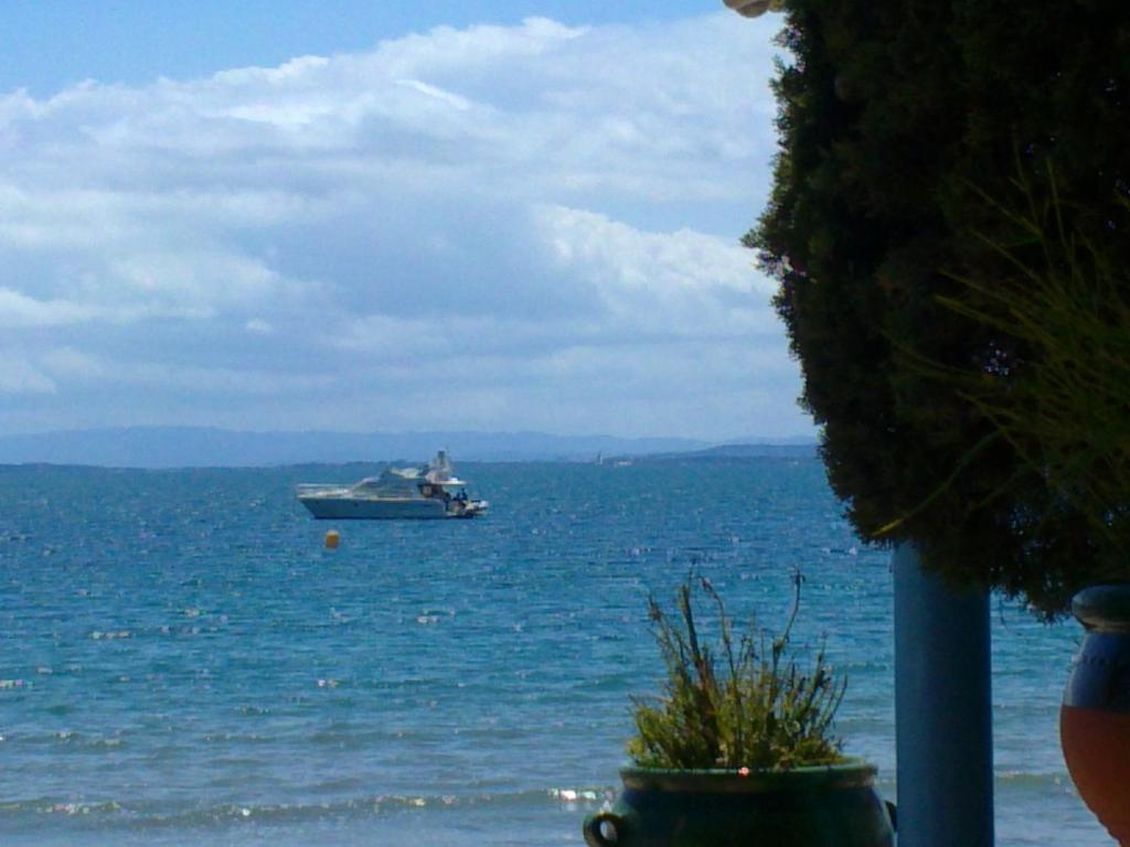 Estudis Els Molins