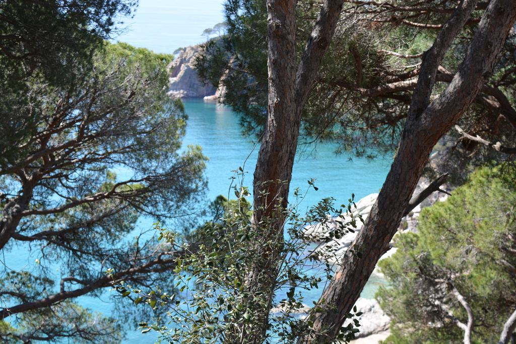 Cala Llevadó Five Piscina Terraza En Cala Llevadó Apartamento