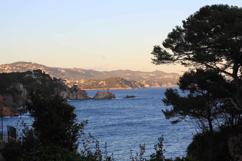 Apartamento La Magnolia I L'alzina *