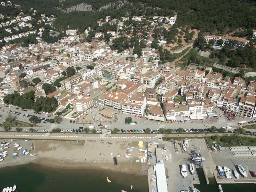 Marina Torroella De Montgri