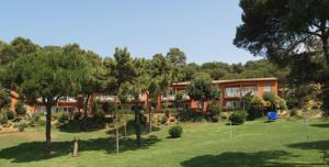 Apartment Albamar
