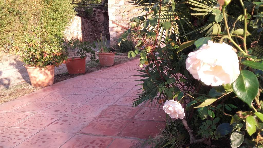 Casa Mas Gran Santa Cristina d'Aro