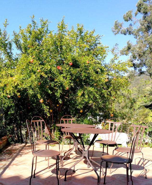 Hotel Casa Mas Gran Santa Cristina d'Aro