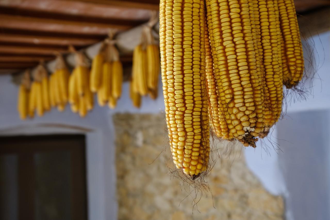 Els Masos D'en Coll Casa rural Llaviá
