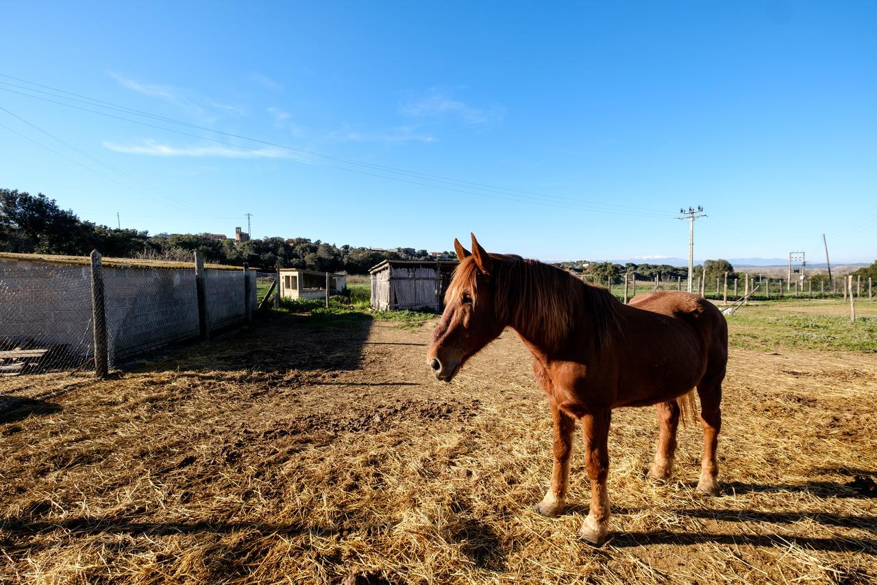 Els Masos D'en Coll Casa rural